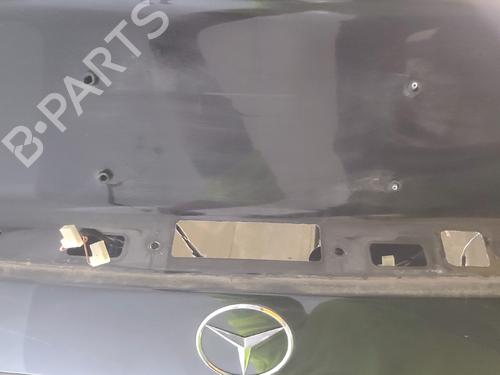 Tailgate MERCEDES-BENZ R-CLASS (W251, V251) R 320 CDI 4-matic (251.022, 251.122) | BP21391238C6 