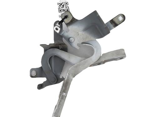 Used Hinge/Door check strap RENAULT CLIO IV (BH_) 1.5 dCi 90 (90 hp) 28971951