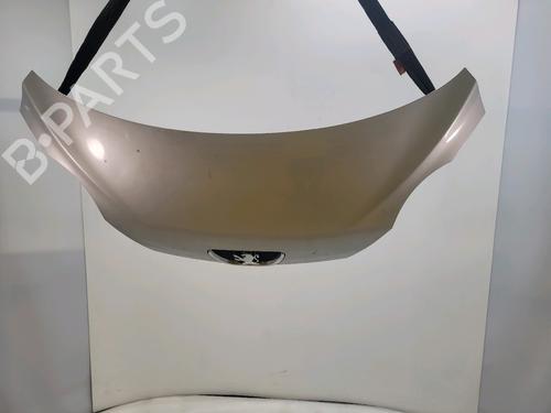Used Hood Hood 30313013 30313013