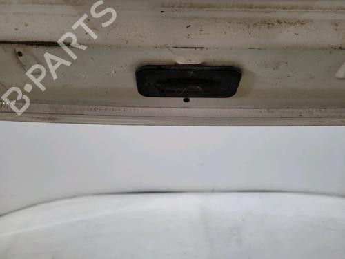 Tailgate RENAULT MEGANE III Hatchback (BZ0/1_, B3_) 1.5 dCi (BZ0C) | BP29390347C6 