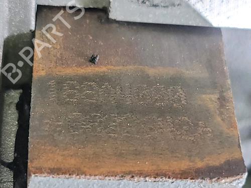 Engine FIAT PUNTO (188_) 1.2 60 (188.030, .050, .130, .150, .230, .250) | BP29522704M1 