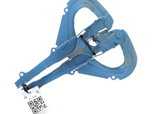 hingedoor-check-strap-citroen-c3-iii-sx-2016-38741767 main image