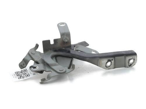Hinge/Door check strap RENAULT CLIO IV Grandtour (KH_) 1.5 dCi 90 (KHN3, KHN4) | BP27913503C146 