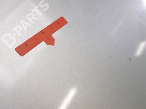 Tailgate PEUGEOT 406 Coupe (8C) 2.0 16V | BP11115651C6 