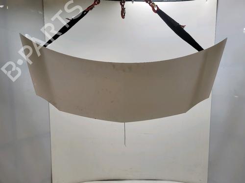 hood-renault-kangoo-express-fw01_-2008-30982798 main image