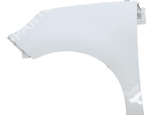 Used Left front fenders RENAULT SCÉNIC III (JZ0/1_) 1.9 dCi (JZ0J, JZ1J, JZ1K, JZ1S) (131 hp) 24324209