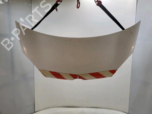 Panser RENAULT KANGOO Express (FW0/1_) 1.5 dCi 75 (FW07, FW10, FW04) (75 hp) 31821933