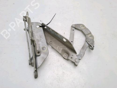 Hinge/Door check strap LAND ROVER FREELANDER 2 (L359) 2.2 TD4 4x4 | BP27919439C146 