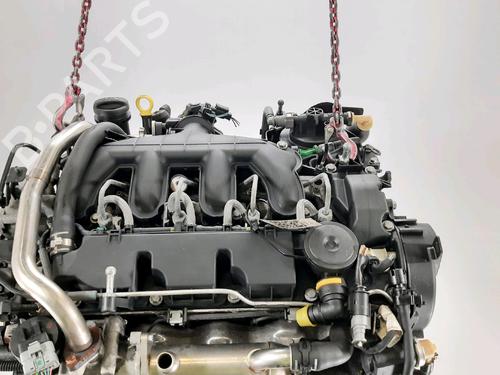 Engine CITROËN C5 III (RD_) 2.0 HDi (RDRHD8, RDRHDJ, RDRHR8, RDRHRJ) | BP31661587M1  - Image 5