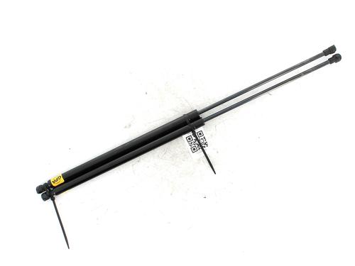 Used Tailgate lift support CITROËN XSARA Break (N2) 1.6 16V (109 hp) 27916938