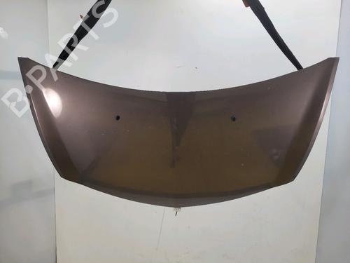 hood-renault-clio-iii-br01-cr01-2005-2006-2007-2008-2009-2010-2011-2012-2013-2014-32434614 main image