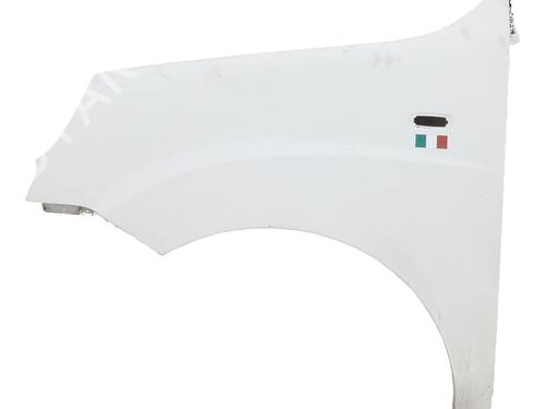 Used Left front fenders FIAT DOBLO Box Body/MPV (223_) 1.3 D Multijet (75 hp) 29197858