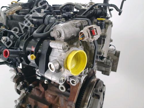 Engine FORD FIESTA VII (HJ, HF) 1.0 EcoBoost mHEV ACTIVE | BP38768167M1 - Image 8