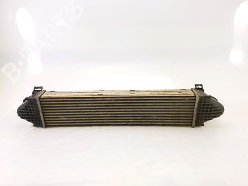 Intercooler LAND ROVER FREELANDER 2 (L359) 2.2 TD4 4x4 | BP25797406M30 