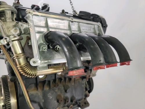 Engine VW POLO (6N2)  | BP17388981M1 