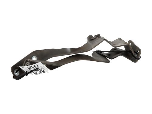 Hinge/Door check strap NISSAN QASHQAI / QASHQAI +2 I (J10, NJ10, JJ10E) 1.5 dCi | BP27905970C146 