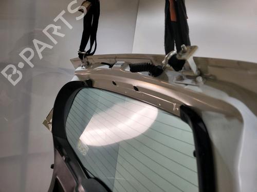 Tailgate RENAULT CLIO III (BR0/1, CR0/1) 1.5 dCi | BP29932136C6 