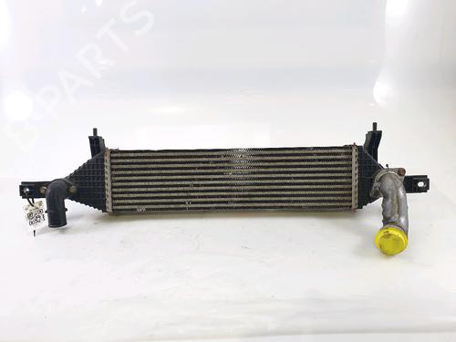 Intercooler NISSAN QASHQAI / QASHQAI +2 I (J10, NJ10, JJ10E) 1.6 dCi (130 hp) 25589406