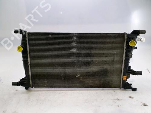 Køler RENAULT SCÉNIC III (JZ0/1_) 1.5 dCi (106 hp) 28835687