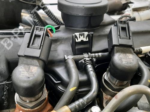 Engine RENAULT MEGANE III Coupe (DZ0/1_) 1.5 dCi (DZ09, DZ0D, DZ1F, DZ1G, DZ14, DZ29) | BP31699265M1 - Image 9