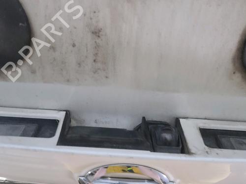 Tailgate NISSAN JUKE (F15) 1.2 DIG-T | BP30379925C6 