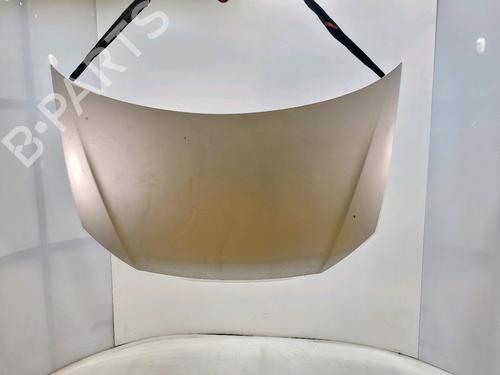 Used Hood VW POLO IV (9N_, 9A_) 1.4 TDI (70 hp) 30141223