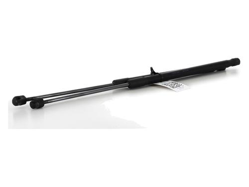 Tailgate lift support VW POLO V (6R1, 6C1) 1.6 TDI | BP27906596C138 