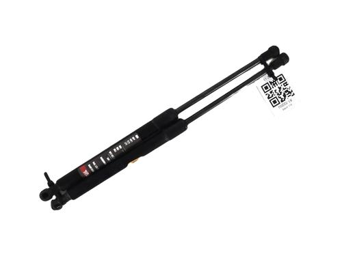 Amortecedor do capot BMW 1 (E87) 118 d (122 hp) 30693022