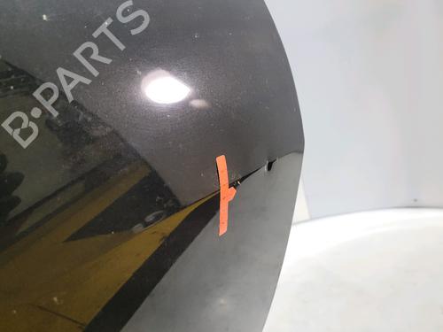 Right front door RENAULT SCÉNIC II (JM0/1_) 1.9 dCi (JM14) | BP28533970C3
