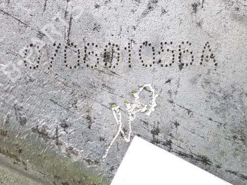 Timing cover FORD MONDEO IV Saloon (BA7) 2.0 | BP27917159M123 