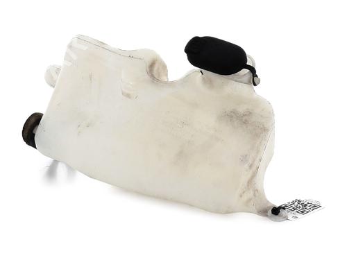 Used Windscreen washer tank RENAULT CLIO II (BB_, CB_) 1.5 dCi (B/C2J) (68 hp) 31797329