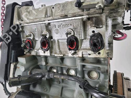 Engine FIAT PANDA (312_, 319_) 1.2 (312PXA1A) | BP28616555M1 