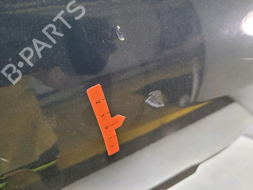 Right rear door RENAULT CLIO III (BR0/1, CR0/1) 1.2 16V (BR02, BR0J, BR11, CR02, CR0J, CR11) | BP29347317C5 