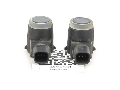 Electronic module CHEVROLET VOLT EV 150 | BP31207289M83