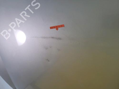 Hood VW GOLF V (1K1) 1.9 TDI | BP23216597C1 