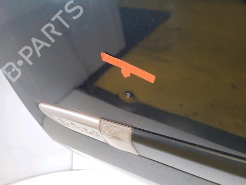 Left front door RENAULT LAGUNA II (BG0/1_) 1.9 dCi (BG1A, BG1V) | BP29931747C2