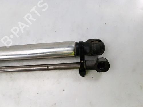 Tailgate lift support VW PHAETON (3D1, 3D2, 3D3, 3D4, 3D6, 3D7, 3D8, 3D9) 3.0 V6 TDI 4motion | BP27916801C138 
