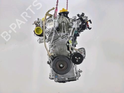Motor DACIA SANDERO III 1.0 TCe 100 ECO-G (101 hp) 31162767