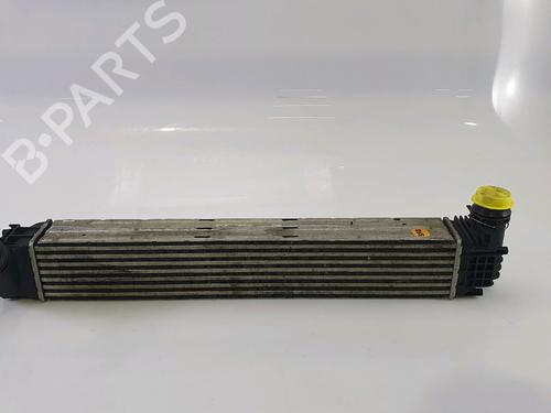 Intercooler RENAULT SCÉNIC III (JZ0/1_) 1.9 dCi (JZ0J, JZ1J, JZ1K, JZ1S) (131 hp) 28121872
