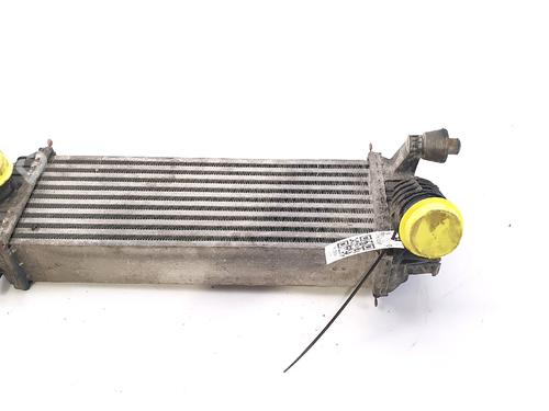 Used Intercooler RENAULT KANGOO Express (FW0/1_) 1.5 dCi 85 (FW0K, FW0L, FW0B) (86 hp) 29553040
