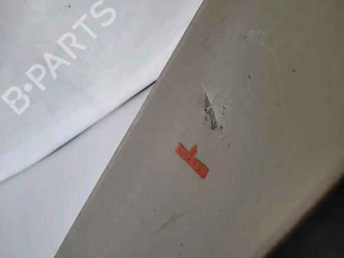 Right front door RENAULT CLIO III (BR0/1, CR0/1) 1.5 dCi (BR17, CR17) | BP29552923C3 