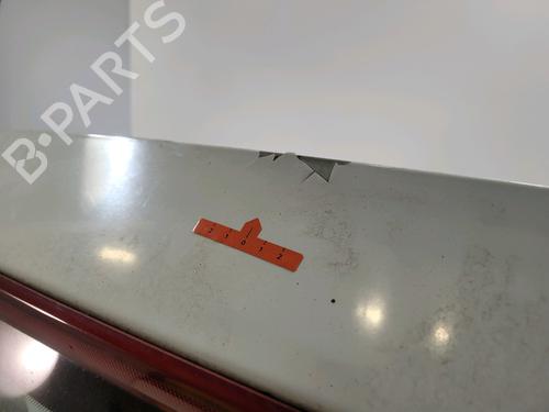 Tailgate RENAULT CLIO III (BR0/1, CR0/1) 1.5 dCi (BR17, CR17) | BP29390266C6 