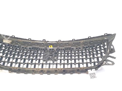 Grille PEUGEOT 2008 II (UD_, US_, UY_, UJ_, UR_, UC_) 1.5 BlueHDI 130 | BP29552916C40 