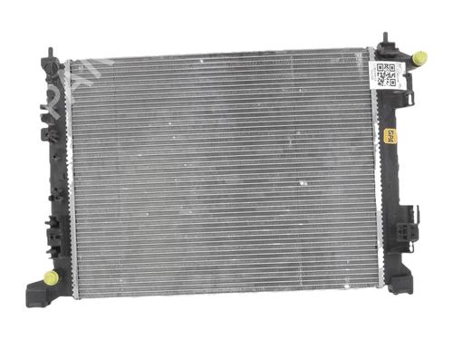 Used Water radiator Water radiator RENAULT 5 E-Tech 120 (122 hp) 40171671 40171671