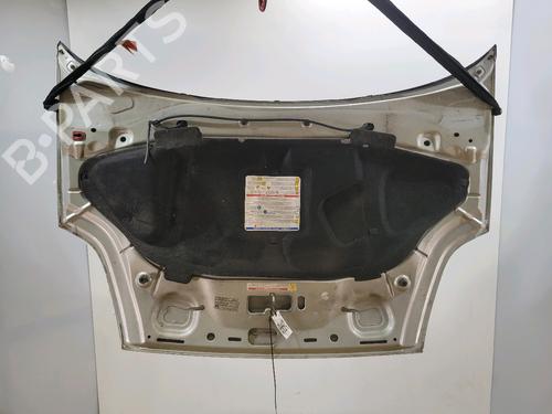 Hood FIAT PUNTO EVO (199_) 1.3 D Multijet (199AXC1A, 199BXC1A, 199AXT1A, 199BXT1A) | BP29849299C1