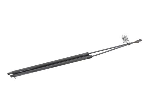 tailgate-lift-support-renault-kangoo-grand-kangoo-ii-kw01_-2008-32513426 main image