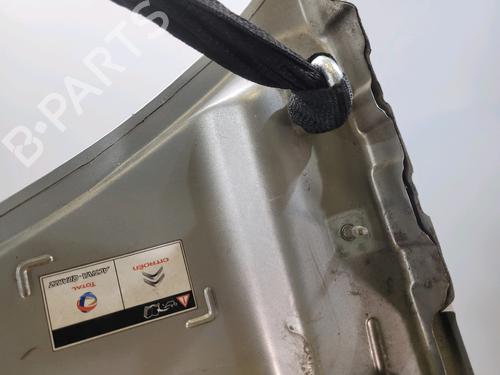 Hood CITROËN C3 II (SC_) 1.4 HDi 70 (SC8HZC, SC8HR0, SC8HP4) | BP29874784C1