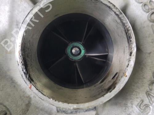 Engine RENAULT CLIO III (BR0/1, CR0/1) 1.5 dCi (BR17, CR17) | BP29696395M1 