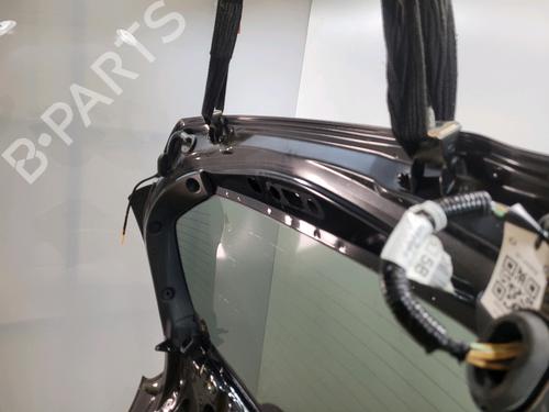 Tailgate NISSAN JUKE (F15) 1.5 dCi | BP30524257C6 