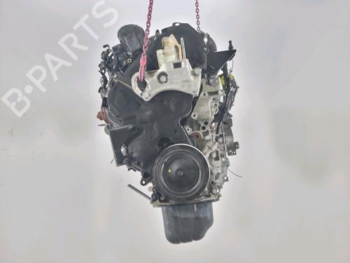 Motor für FORD FIESTA VI (CB1, CCN) 1.4 TDCi (70 hp) 29552582